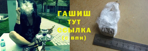 прущие грибы Аркадак