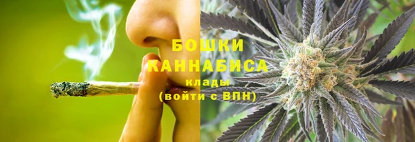 прущие грибы Аркадак