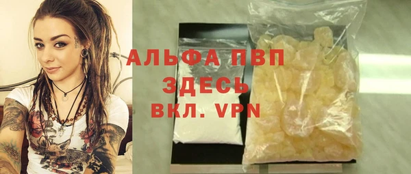 гашик Арсеньев