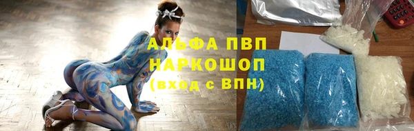 гашик Арсеньев