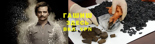 прущие грибы Аркадак