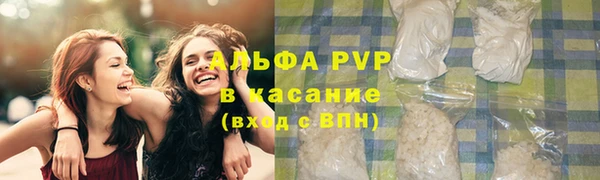 прущие грибы Аркадак