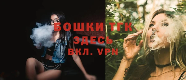 гашик Арсеньев