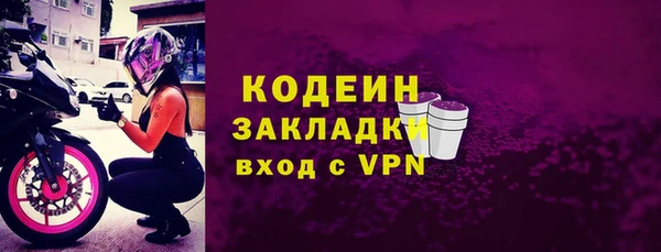 гашик Арсеньев