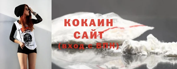 гашик Арсеньев