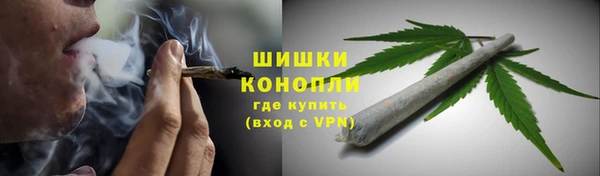 прущие грибы Аркадак