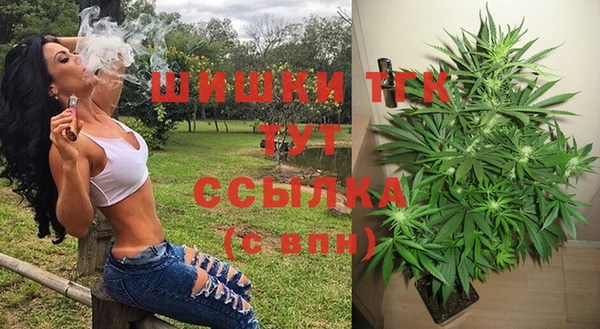 гашик Арсеньев