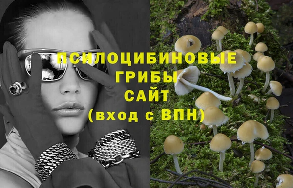 гашик Арсеньев