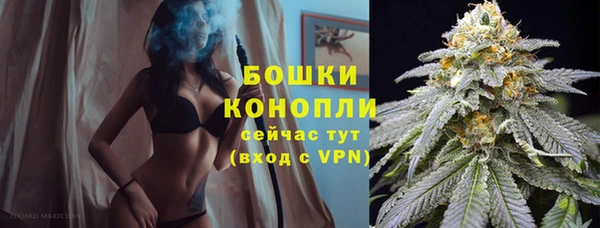 прущие грибы Аркадак